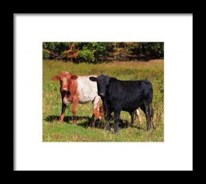 Cow Painting Artwork
