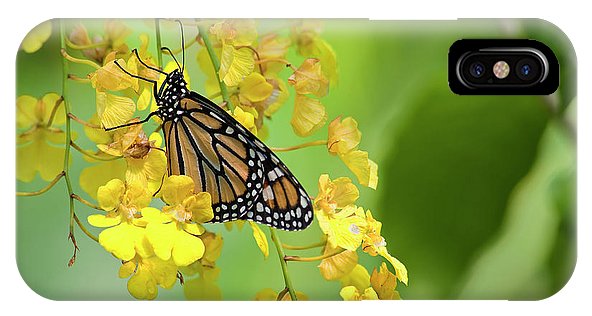 Monarch Butterfly on Orchids Phone