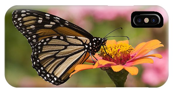 Monarch Butterfly Zinnia Phone Case