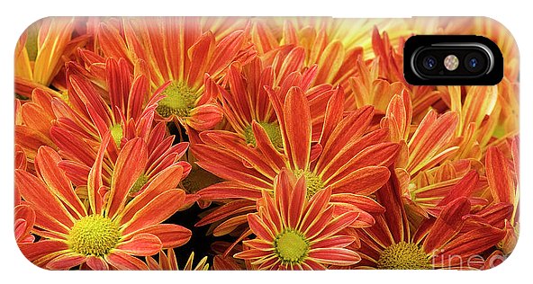 Fall Mums Phone Cases