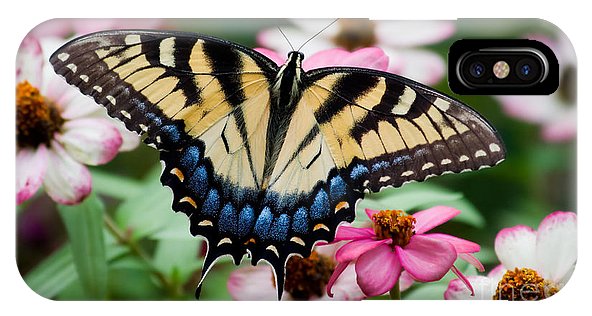 Swallowtail Butterfly Phone Case